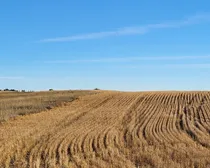 IMG_20251027_140355 (7)