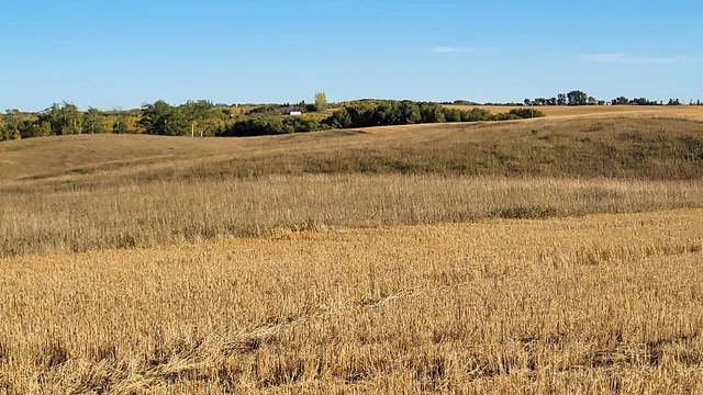 IMG_20251027_140355 (8)