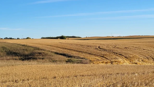 IMG_20251027_140355 (9)