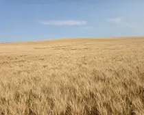 Resized_20250907_145150