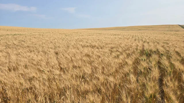 Resized_20250907_145526