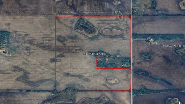 Satellite image outlined