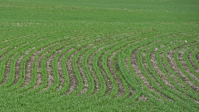 Image for rented-farmland-jumps-3-4-million-acres-in-saskatchewan-and-alberta